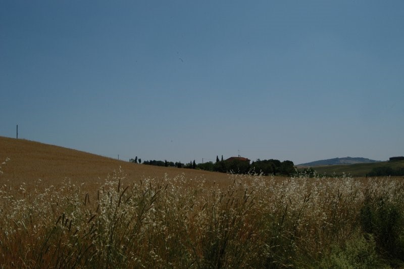 BIBBONA CAMPAGNA